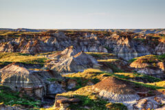 Badlands and Dinosaur Provinvial Park, Alberta