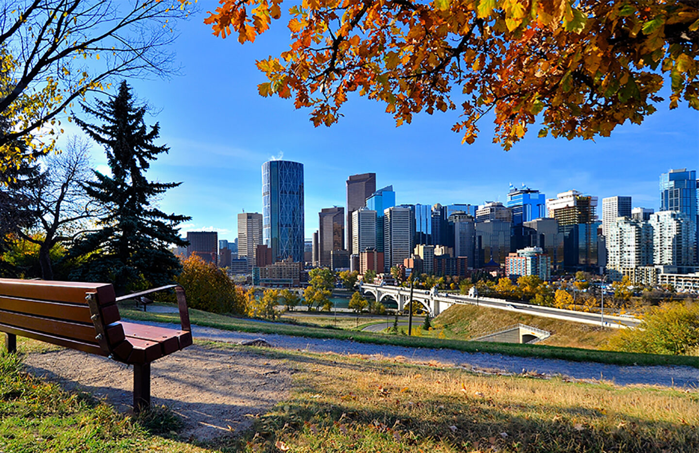 View of Calgary, Alberta