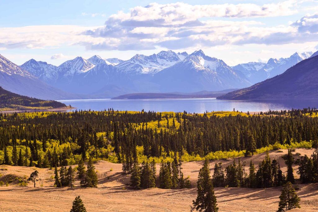 Carcross Desert