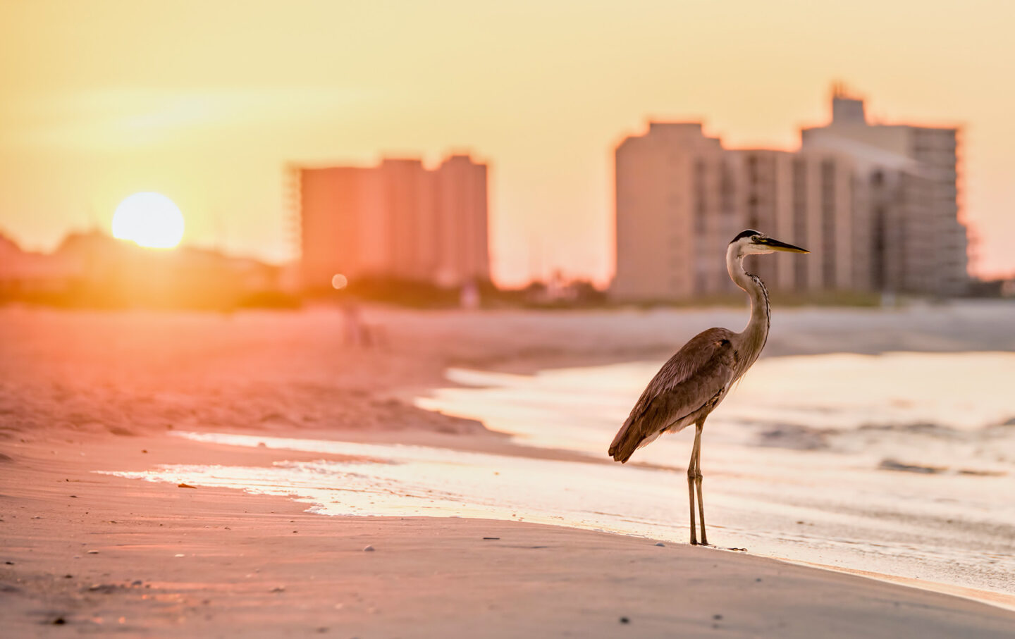 Alabama Coast, Orange Beach