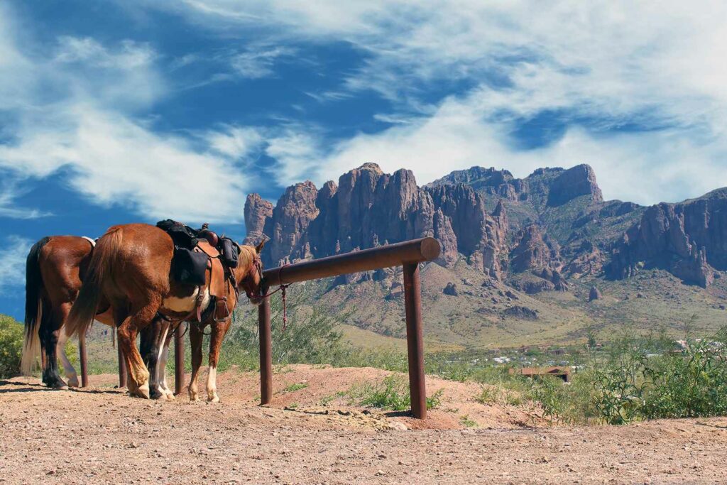 Horses at a ranch in Arizona