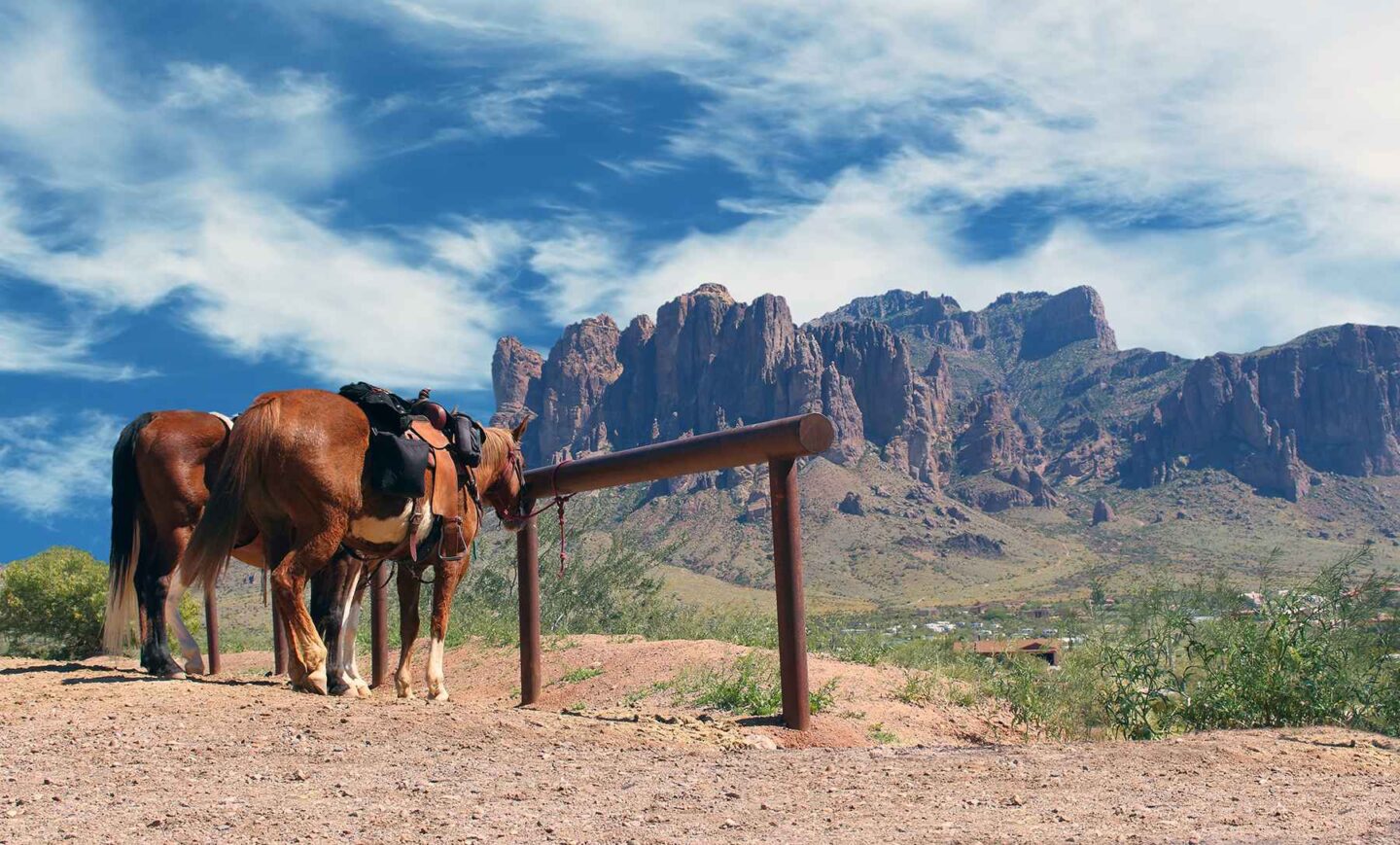 Horses at a ranch in Arizona