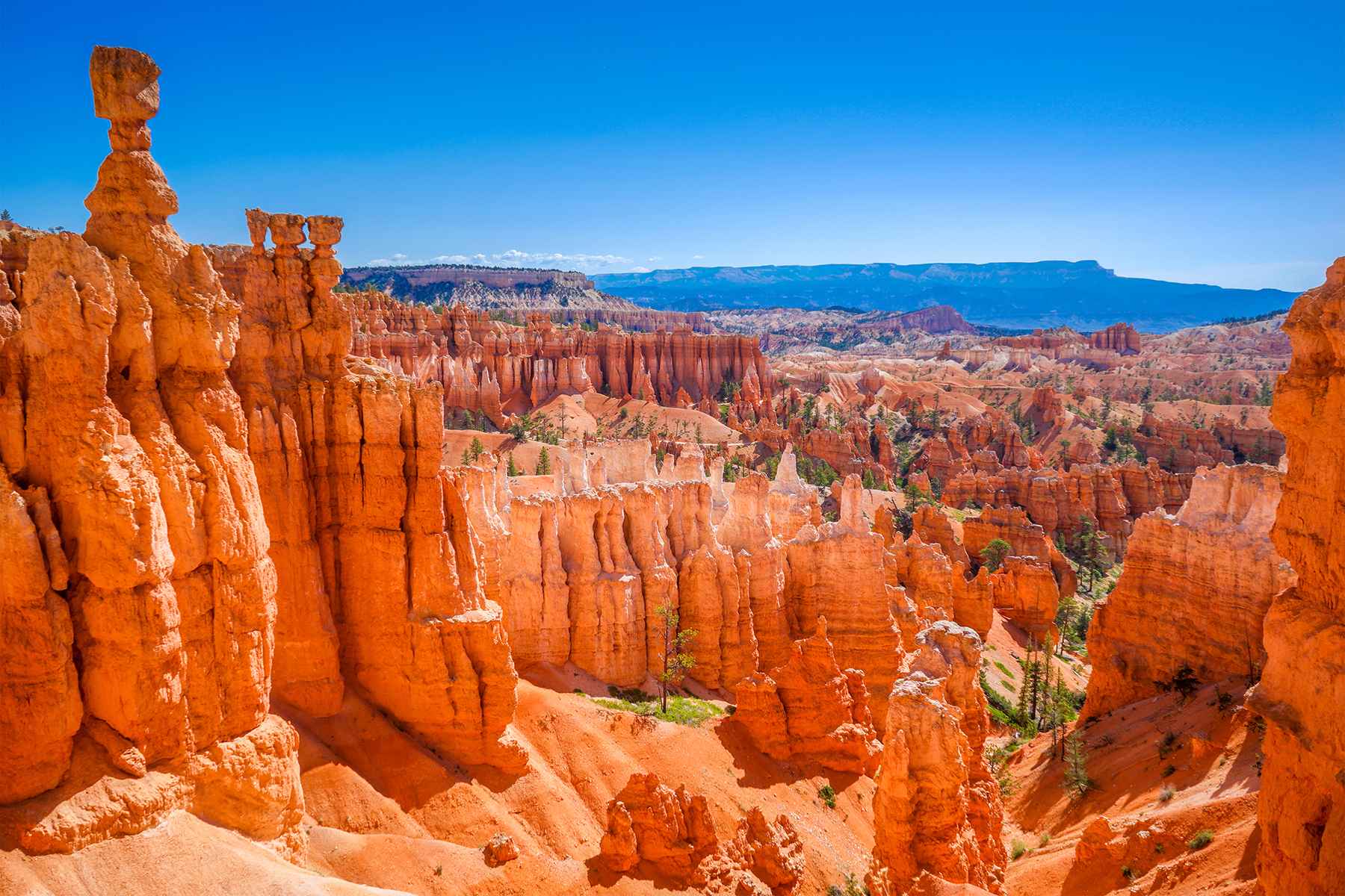 Bryce Canyon UTah