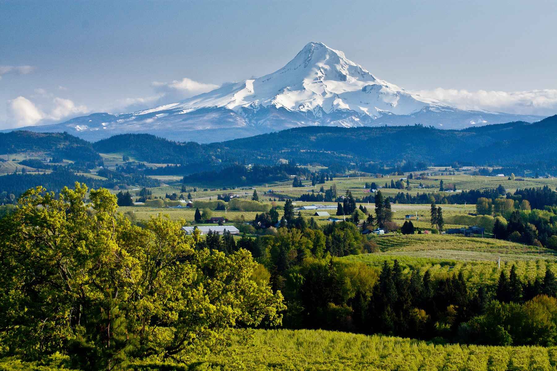 Columbia River Gorge and Mount Hood