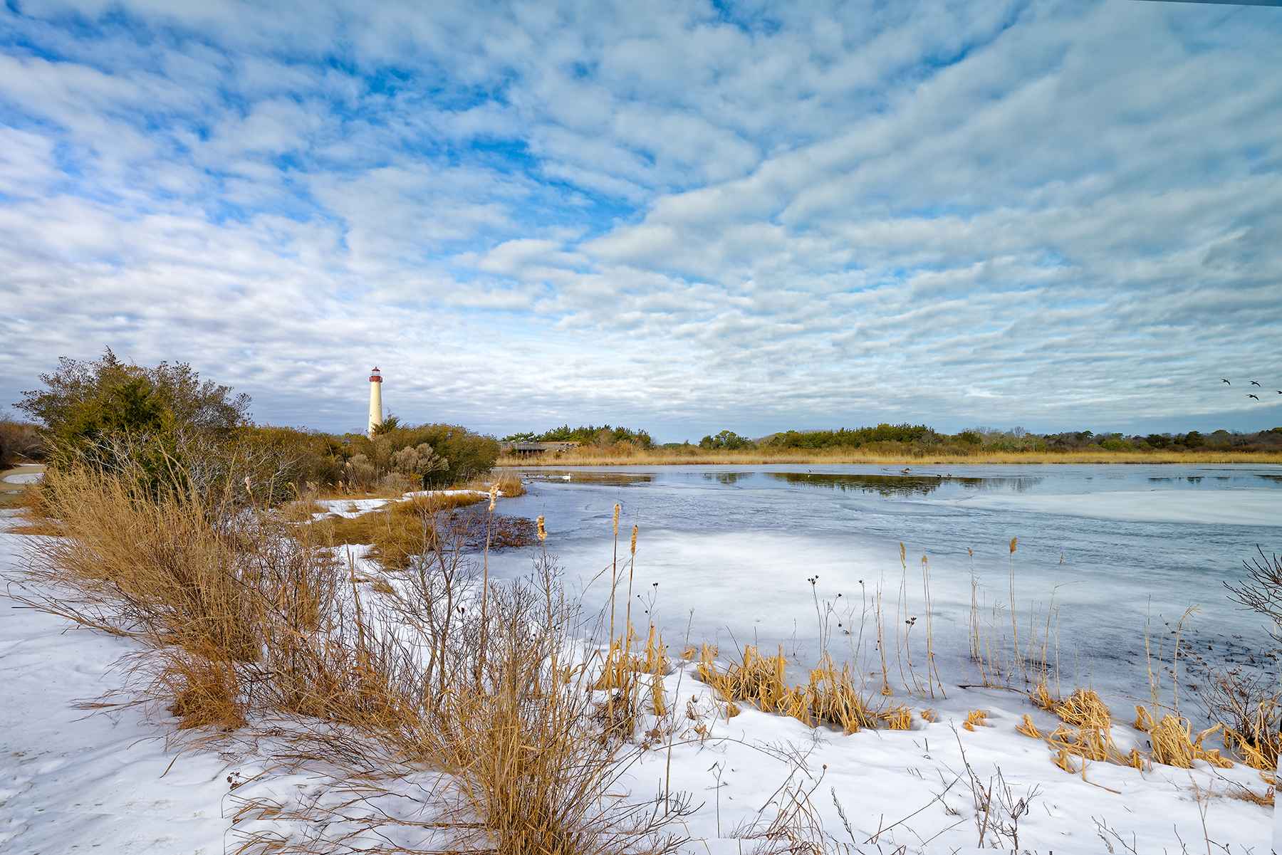 Cape May