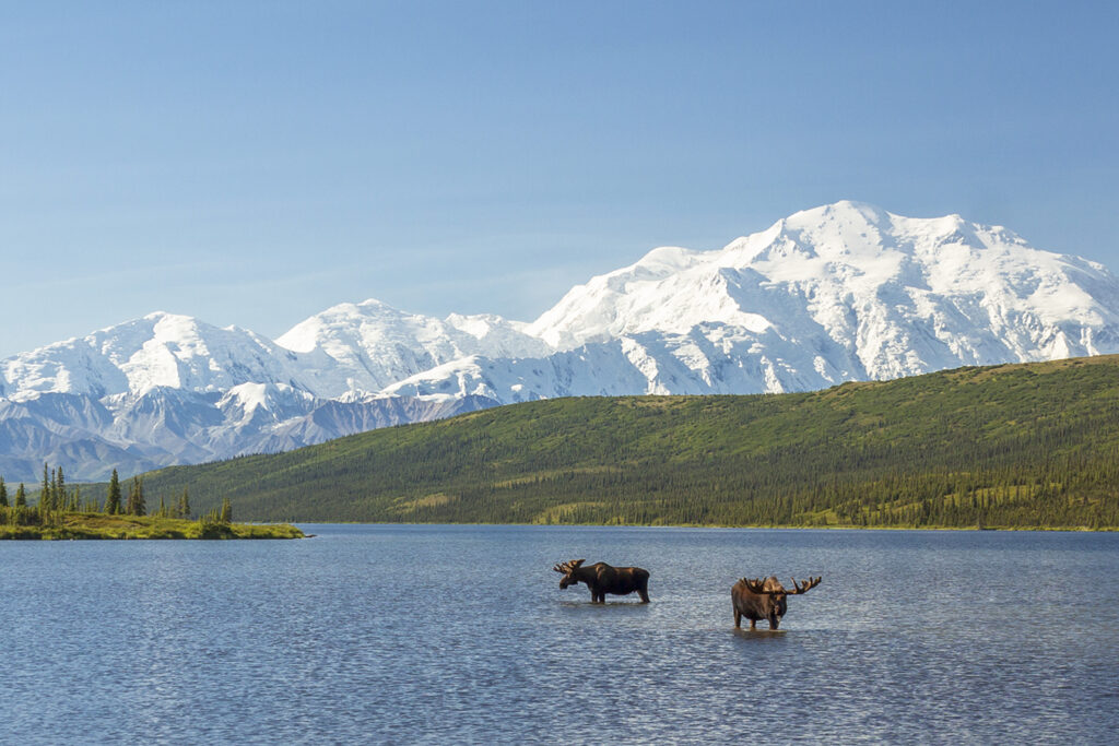 Denali National Park Alaska