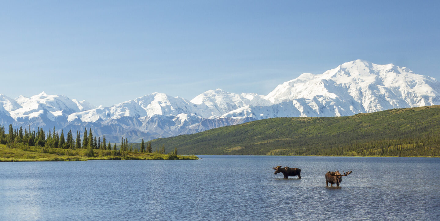 Denali National Park Alaska