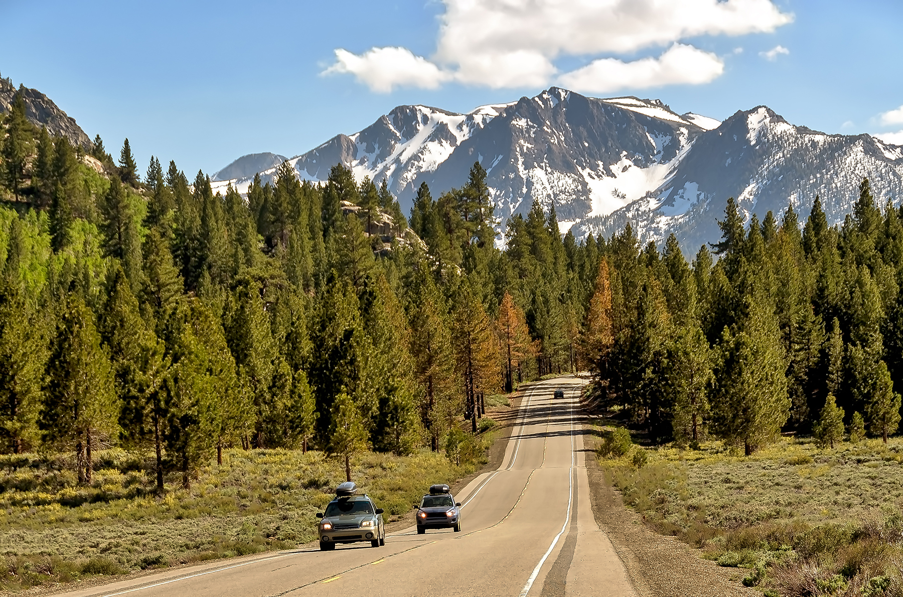 Sierra Nevada California