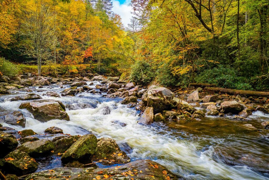 Nantahala Forest