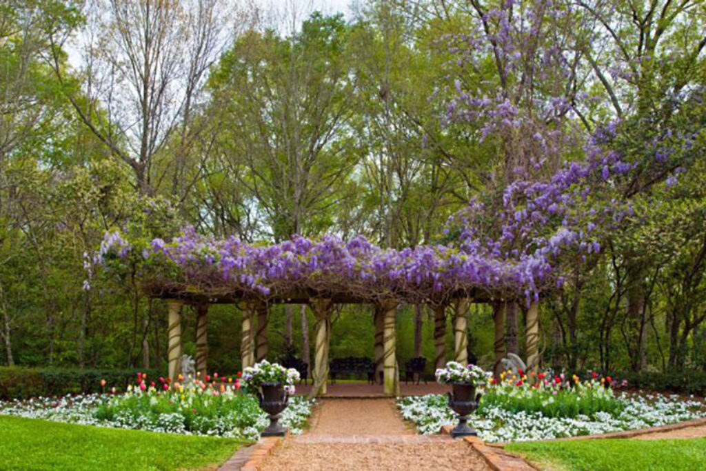 Hotel Gardens