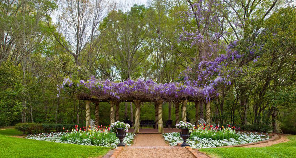 Hotel Gardens