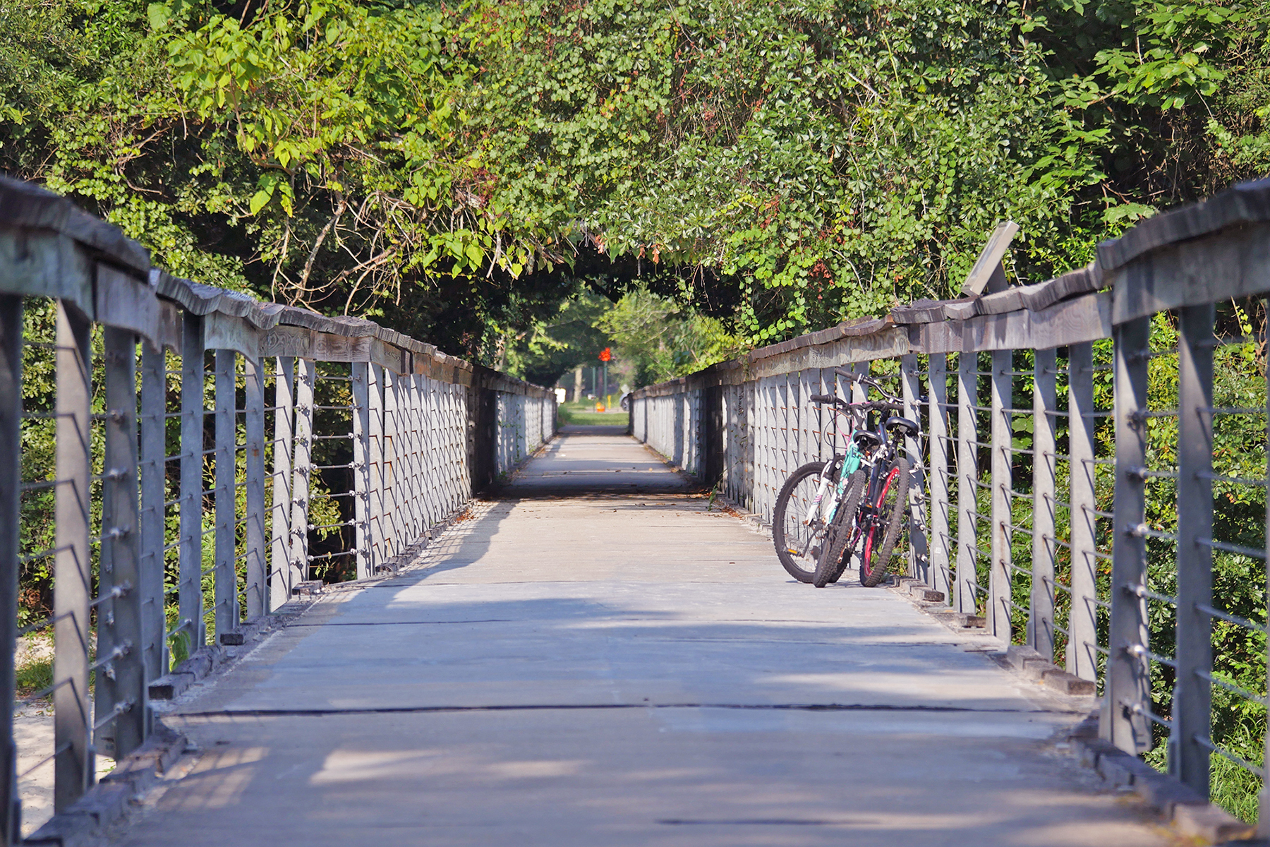 Tammany Trace, Louisiana