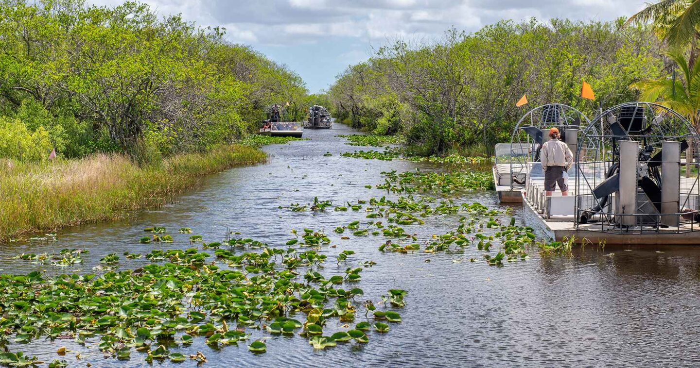 The Everglades Florida