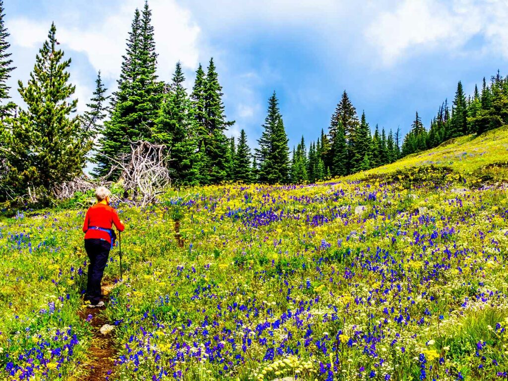 Hiking in Sun Peaks