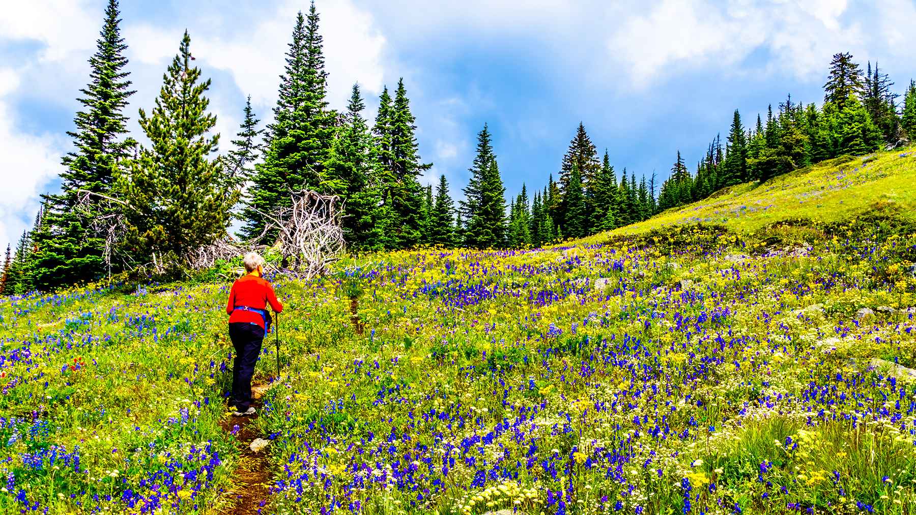 Hiking in Sun Peaks