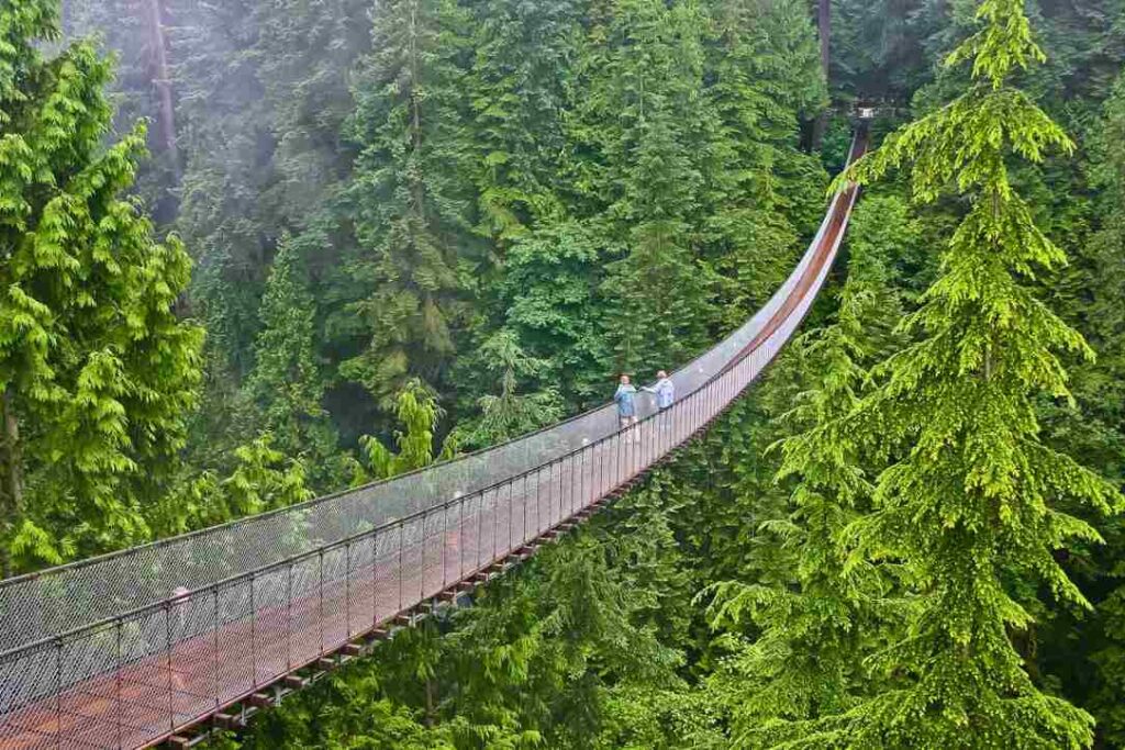 Capilano Suspension Bridge