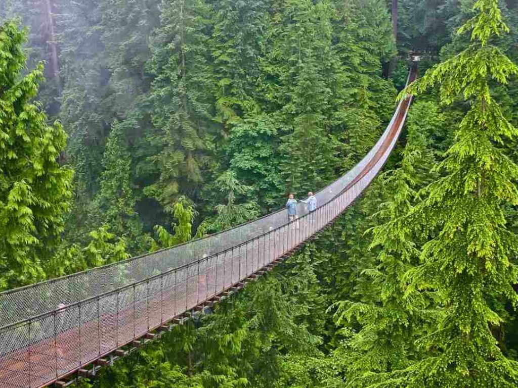 Capilano Suspension Bridge