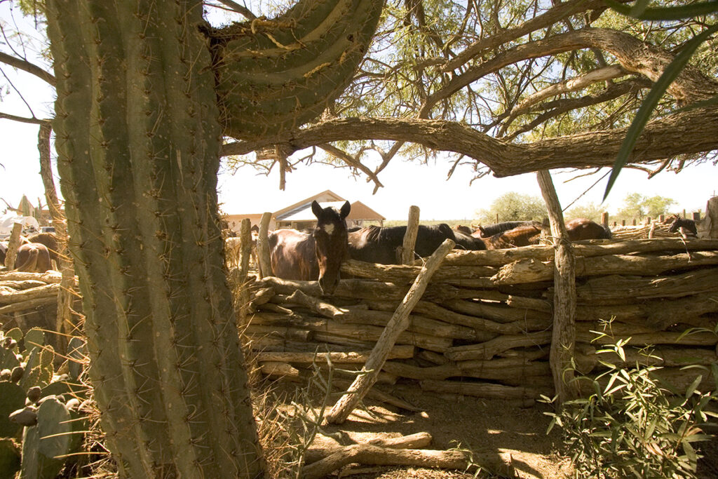 USA_Arizona_Tucson – Tanque Verde Ranch 4 – credit Todd Brenneman