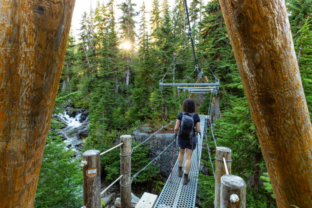 Woman Hiking across Bridge in the Forest at Sunset in Canadian Nature