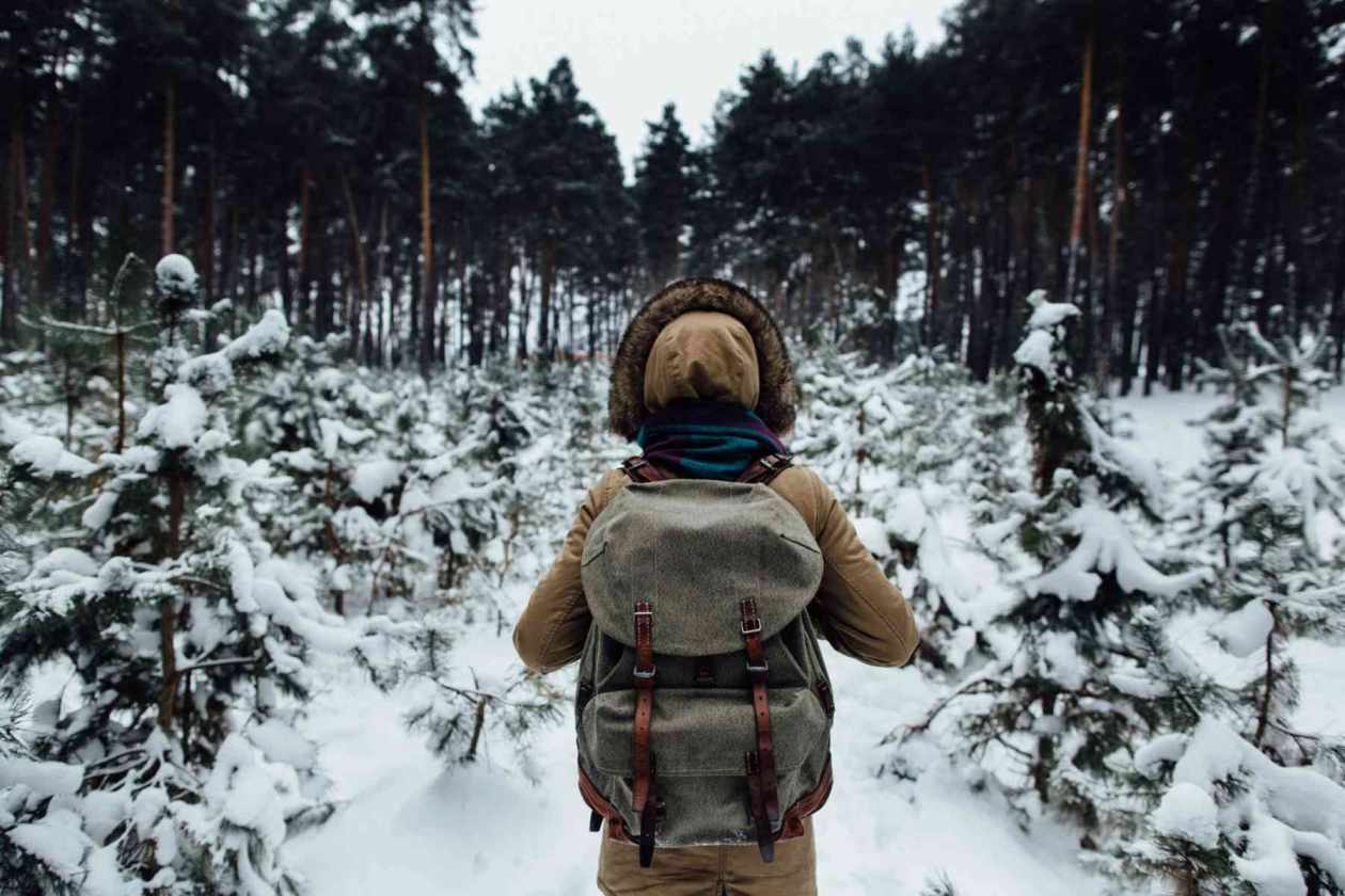 Man walking in winter forest