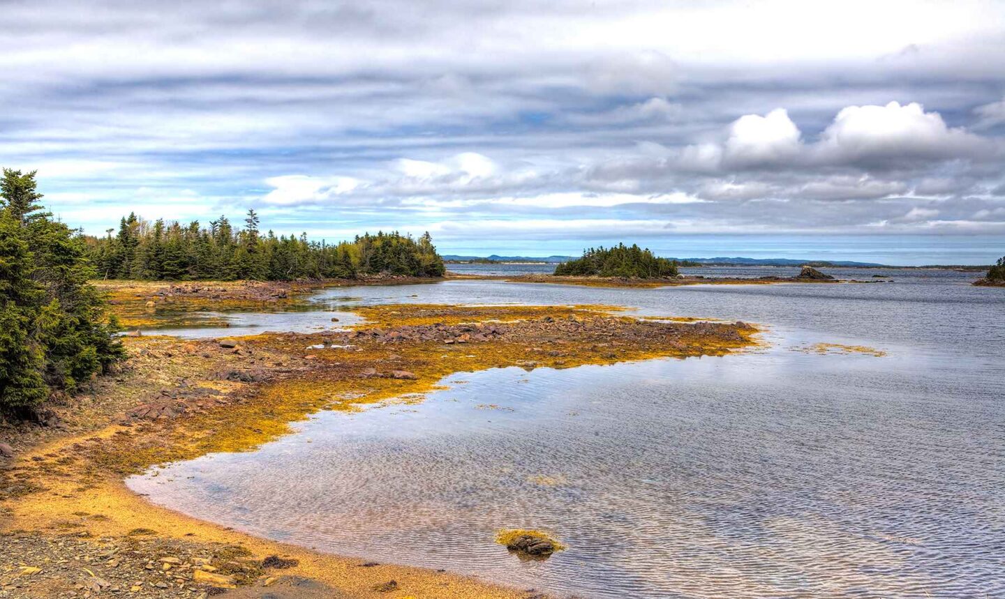 Gander Bay Newfoundland