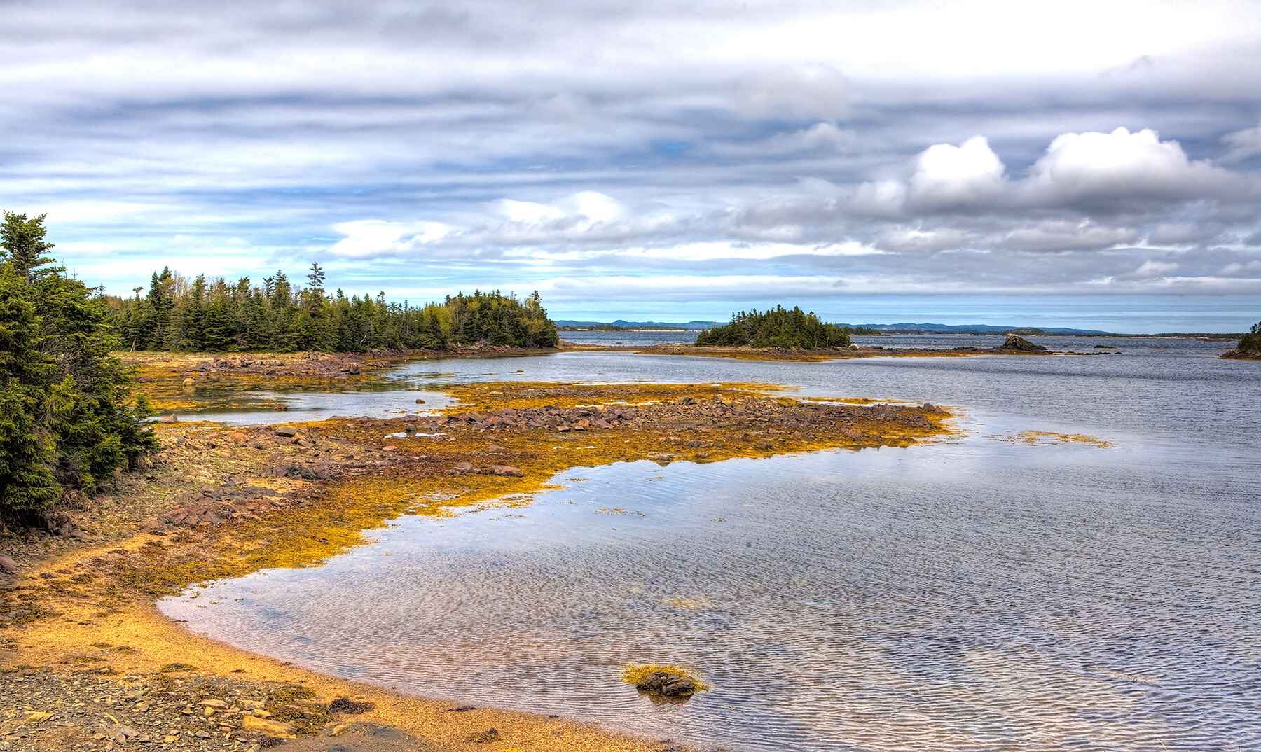 Gander Bay Newfoundland