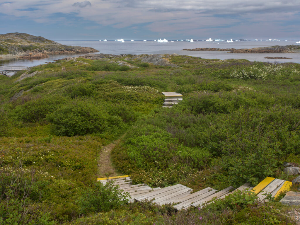 Hiking trail on Fogo Island, Newfoundland