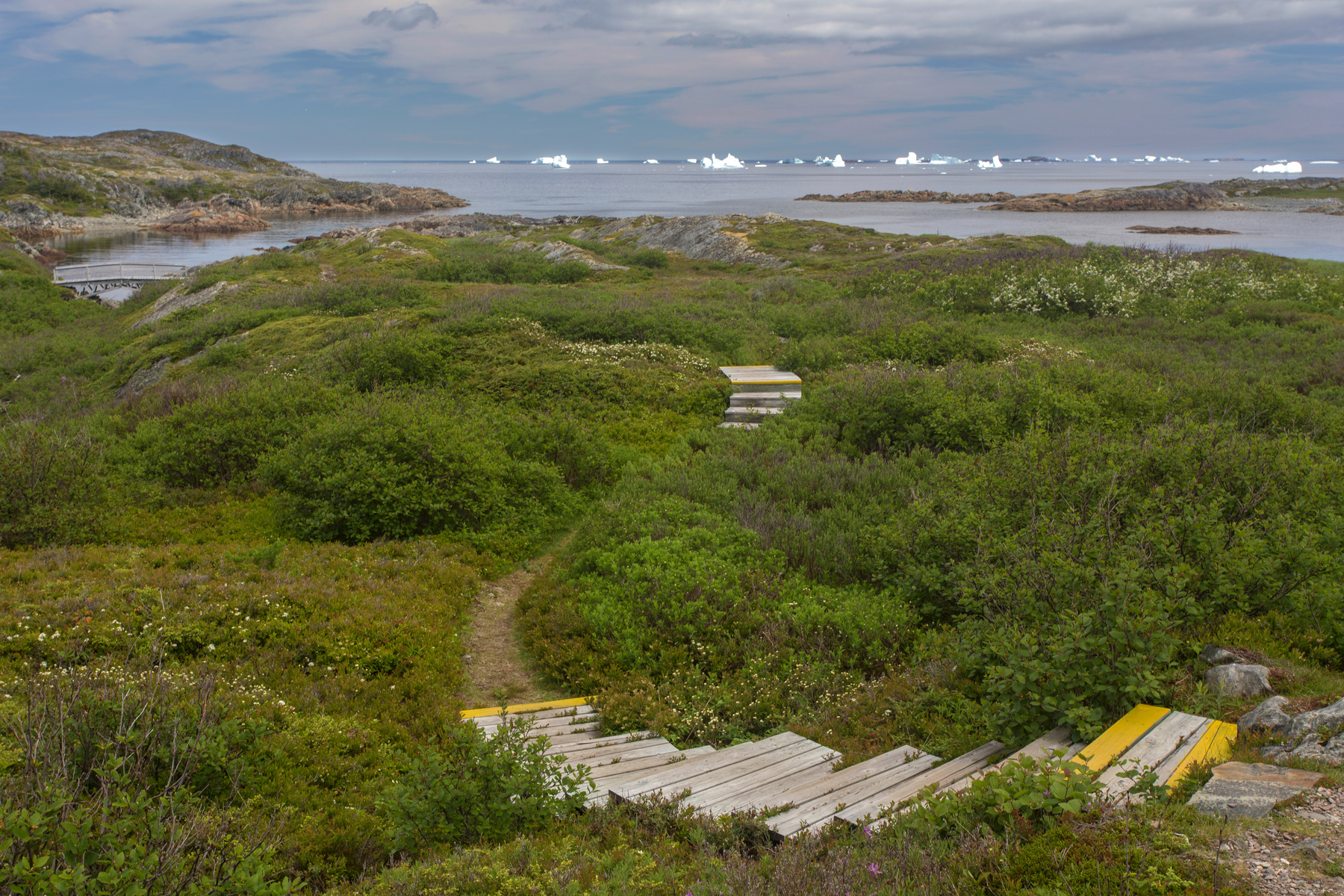 Hiking trail on Fogo Island, Newfoundland