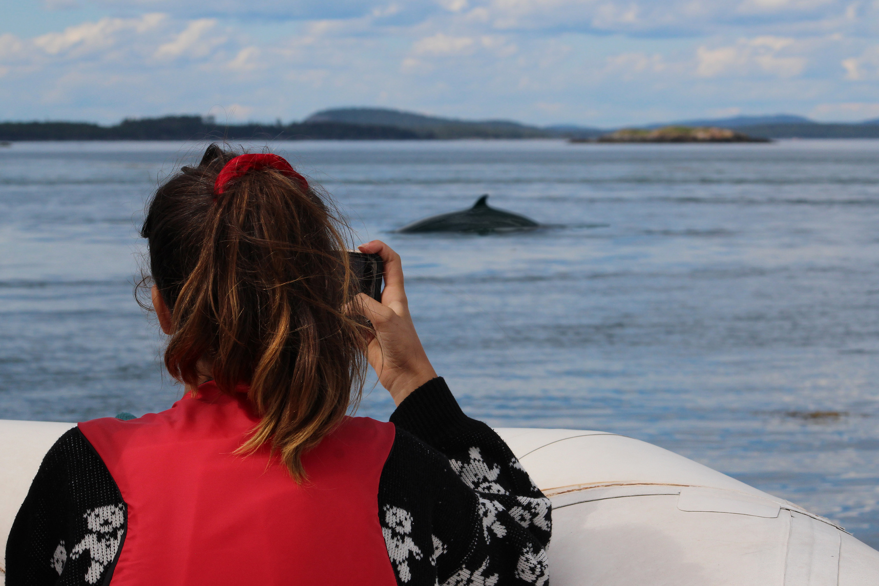 Young girl takes a photo of a Minke whale on the Bay of Fundy, New Brunswick, Canada