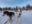 Dog sledding in the Yukon Territory, Canada.