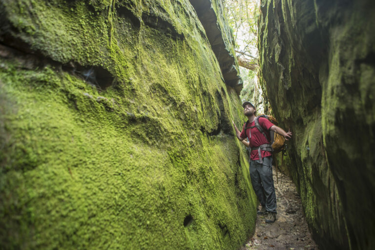 A man explores nature in North Alabama