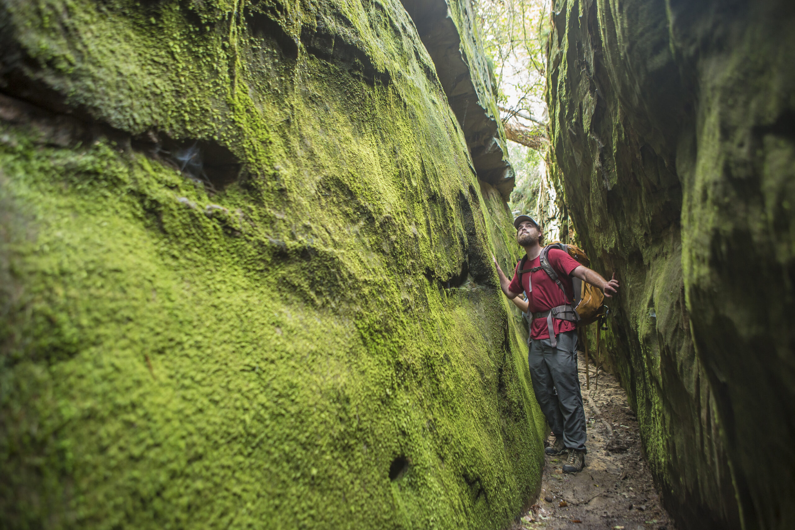 A man explores nature in North Alabama