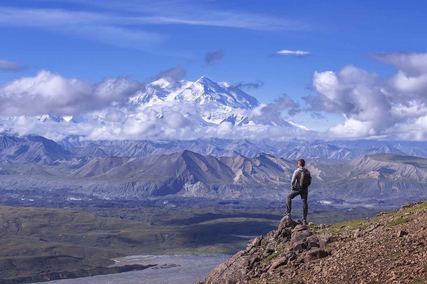 View of Denali National Park