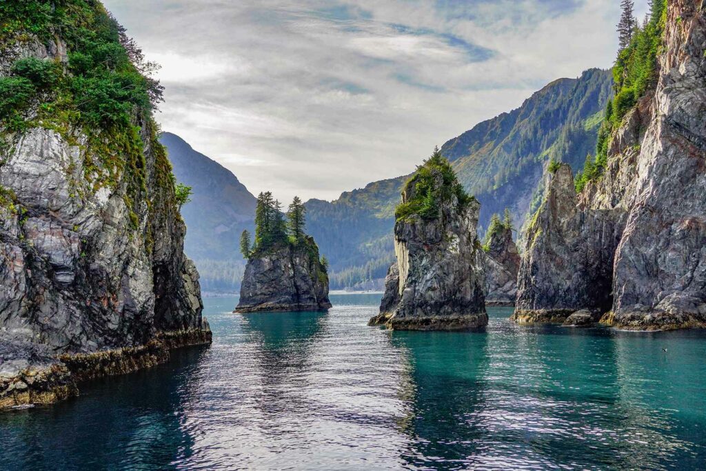 Kenai Fjords