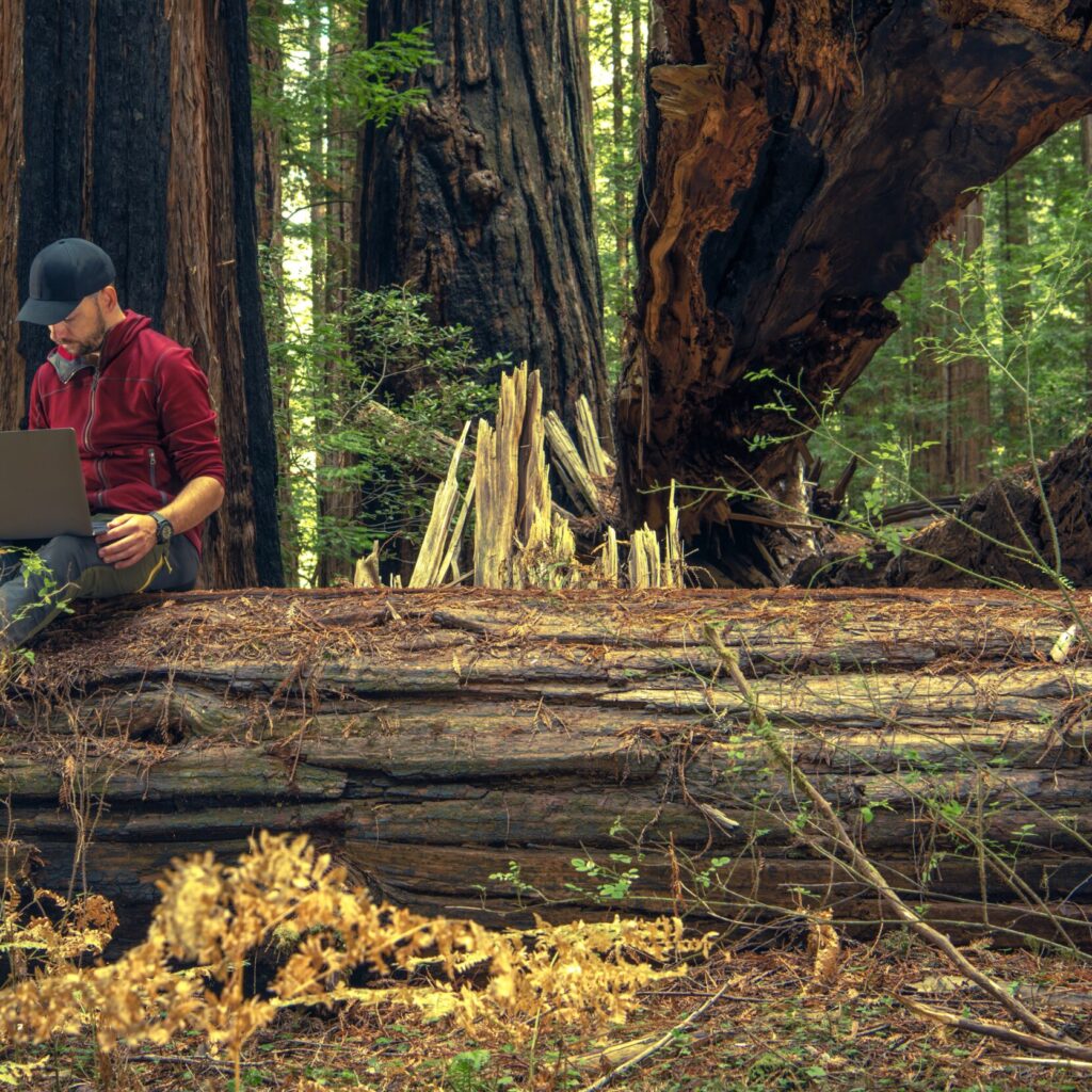 Man working in Sequoia National Park