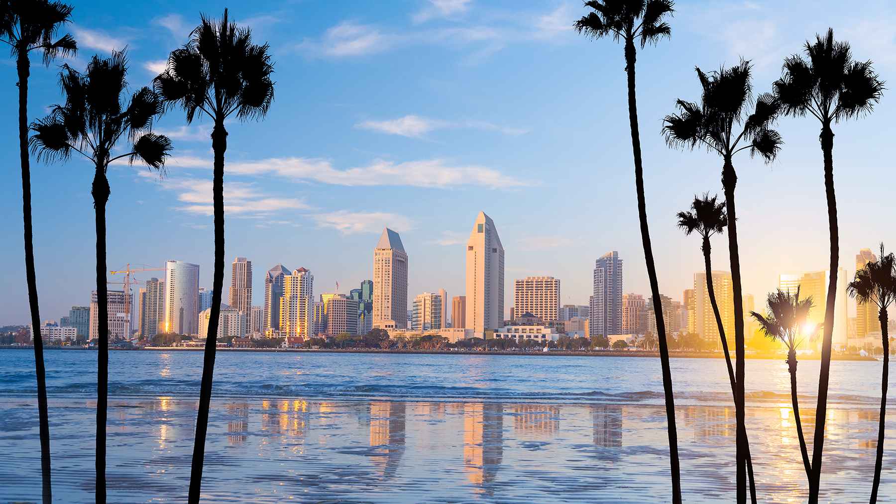 USA_California_SanDiego_shutterstock_1548940838_11zon