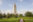 The Louisiana State Capitol tower in the city of Baton Rouge