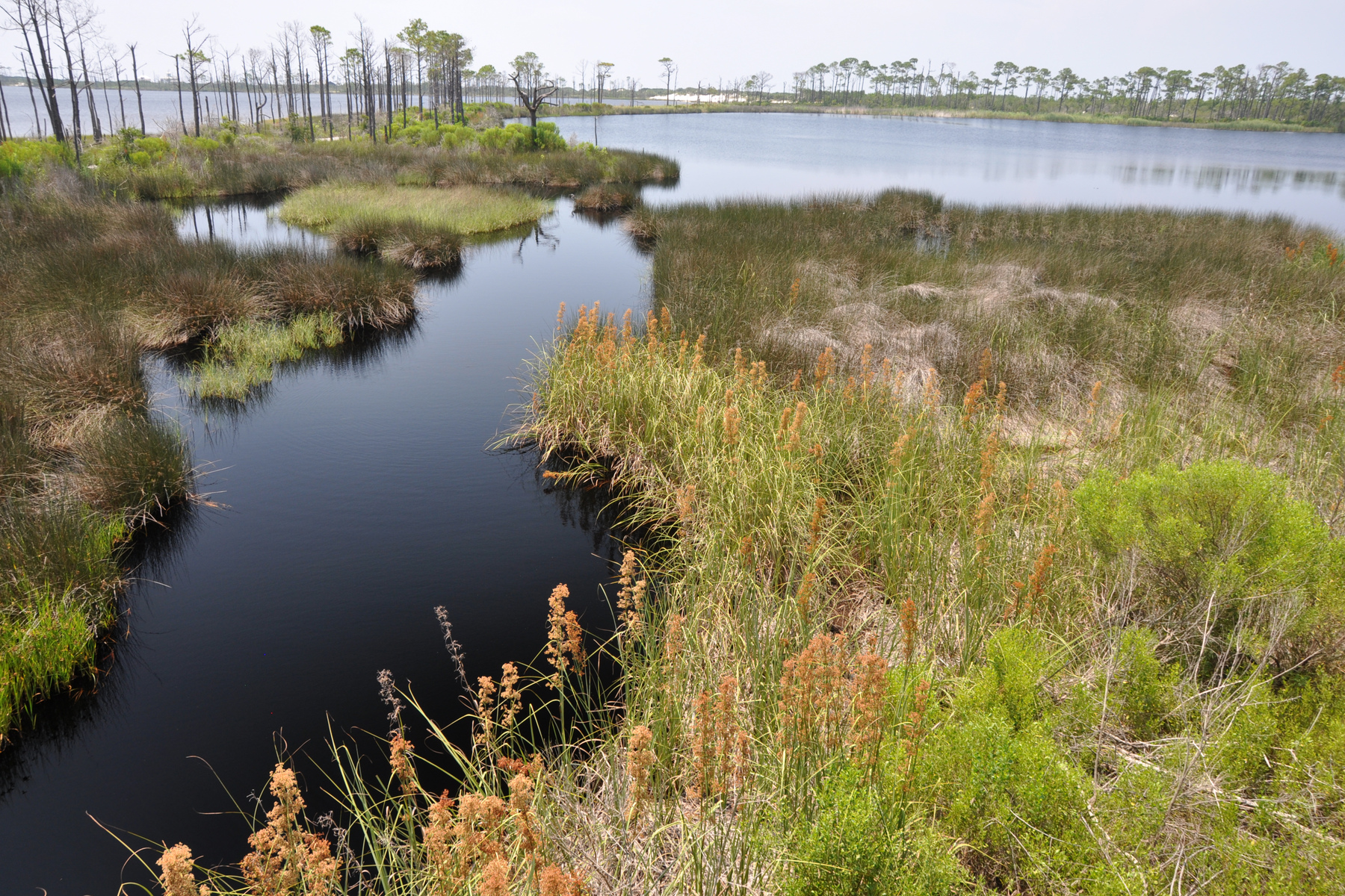 Bon Secour National Wildlife Refuge in Gulf Shores