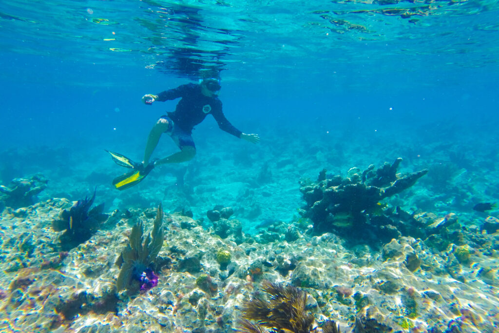 Snorkeling in Key West, Florida