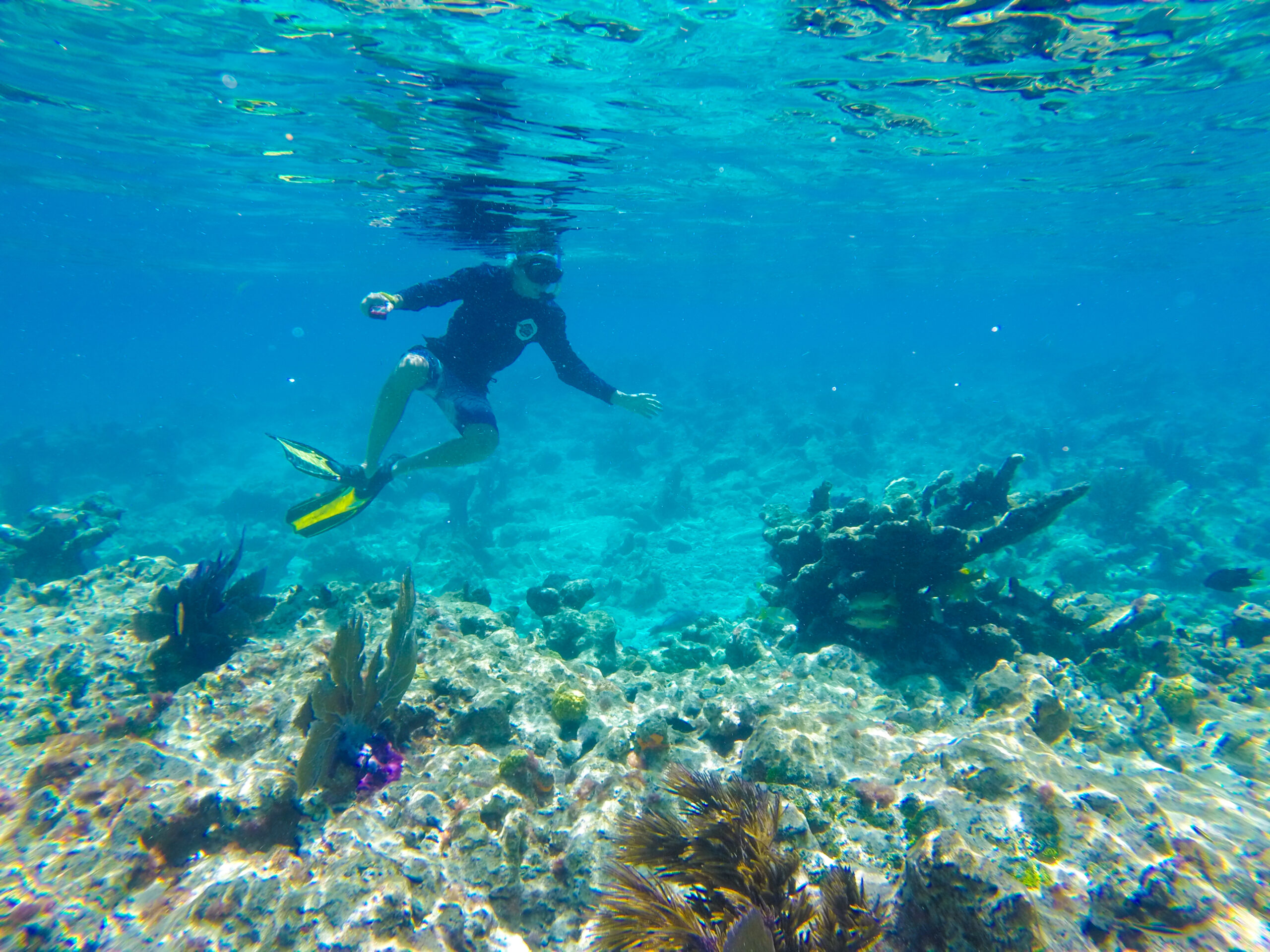 Snorkeling in Key West, Florida