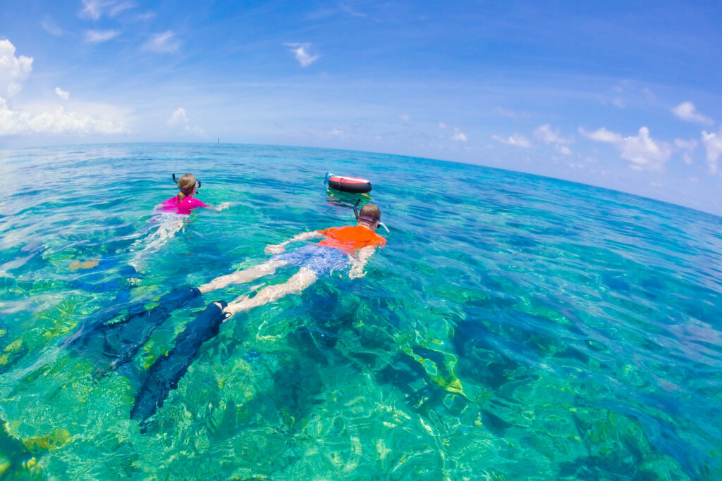 Snorkelling in Key West sea