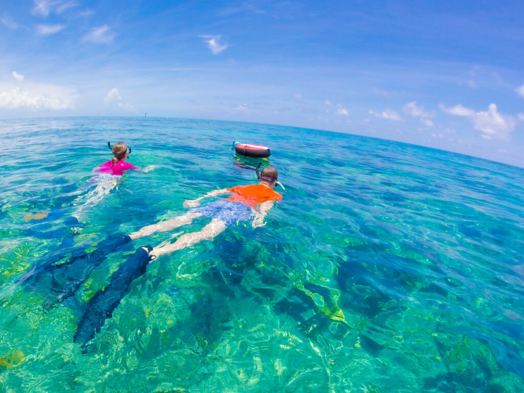 Snorkelling in Key West sea