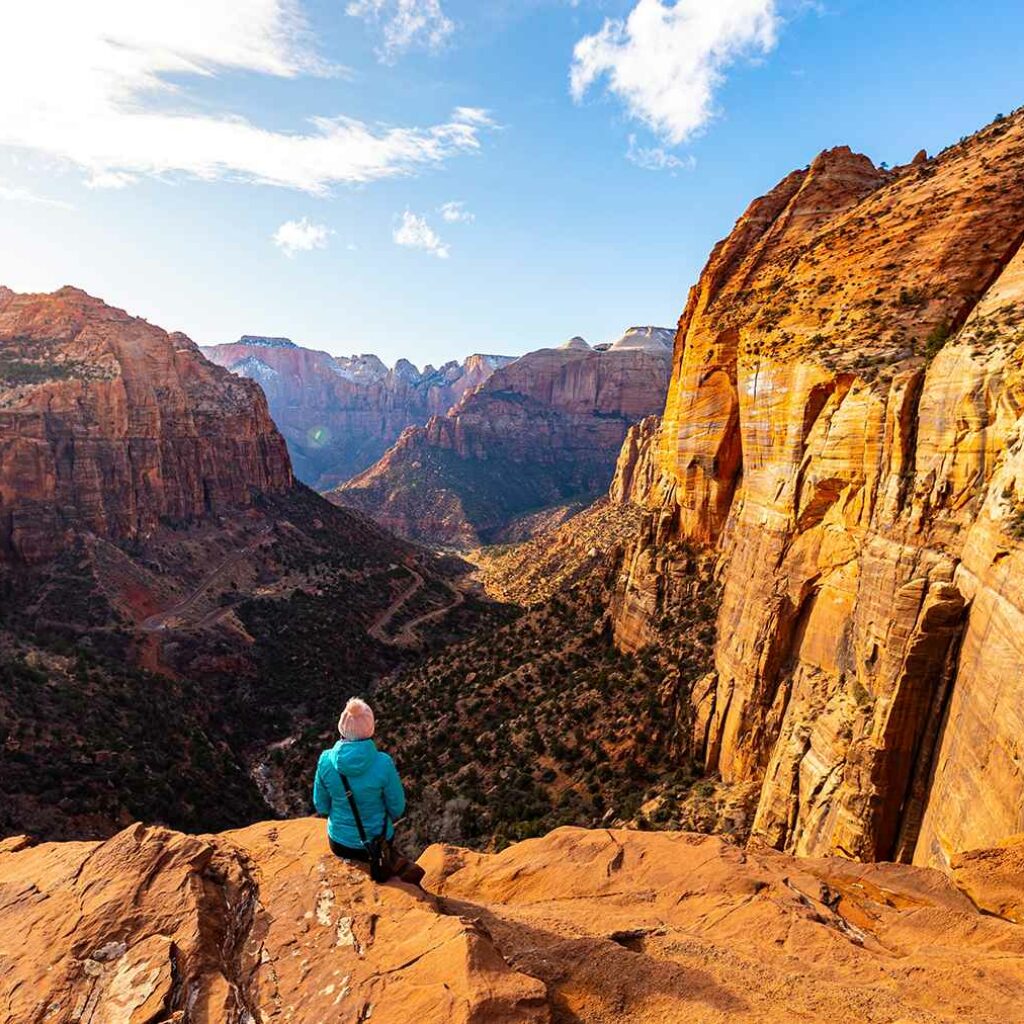 View over Zion National Park