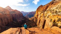 View over Zion National Park