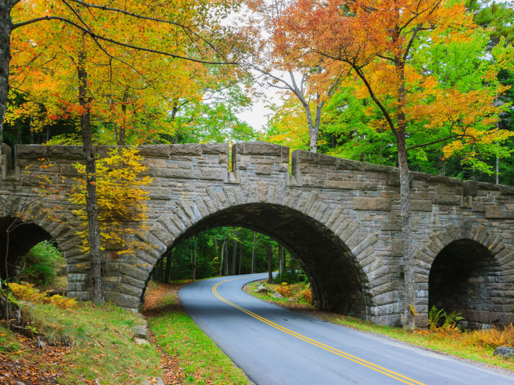 Carriage Roads in Acadia National Park