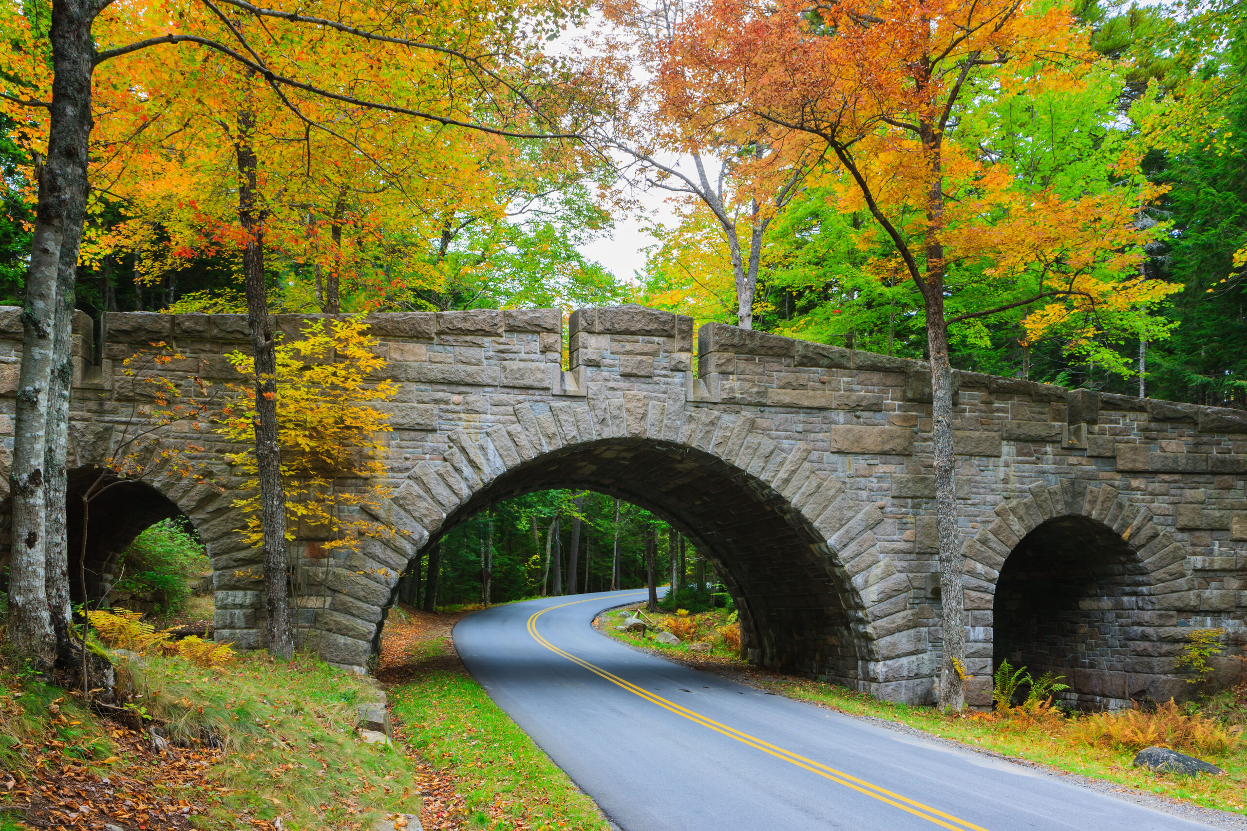 Carriage Roads in Acadia National Park