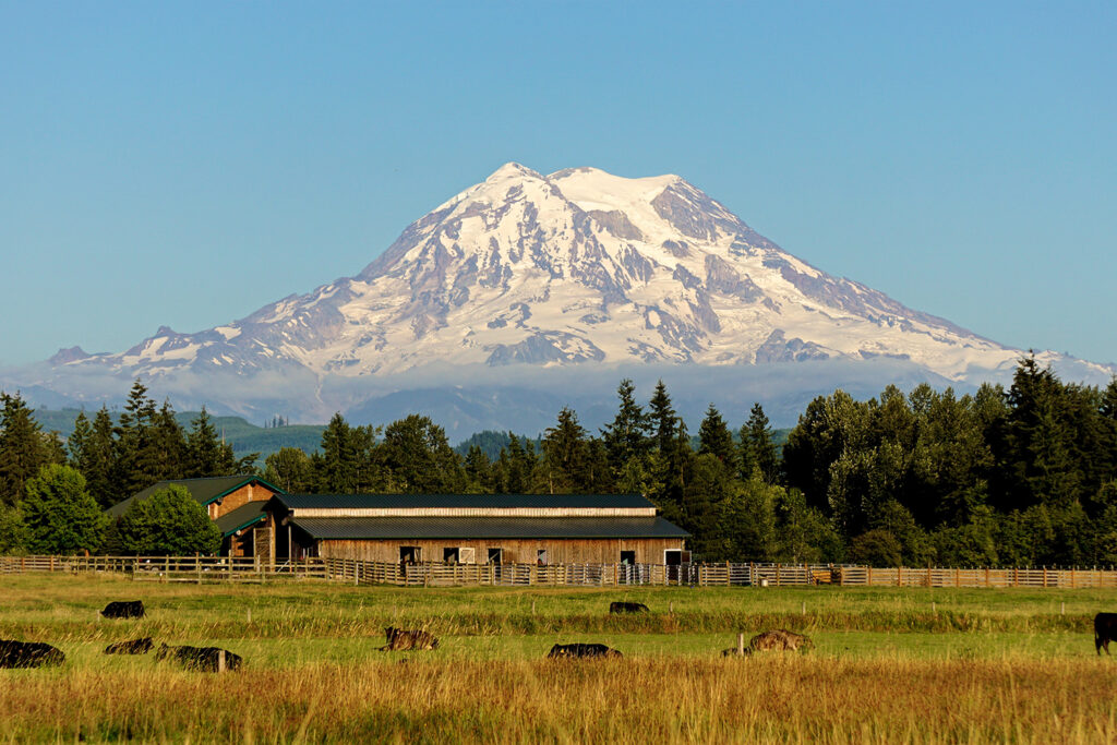 Mount Rainier