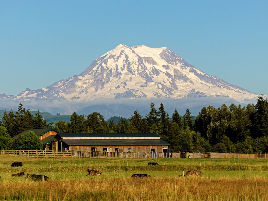 Mount Rainier