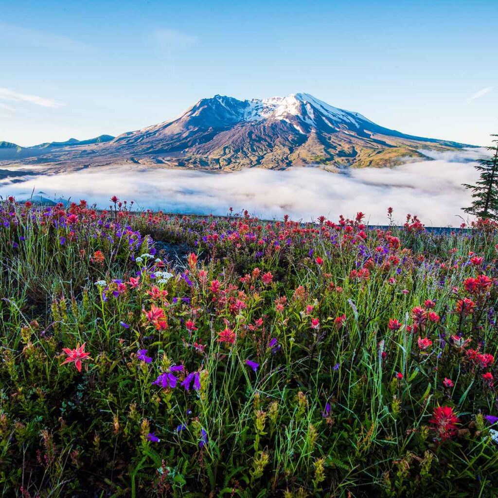 Mount St Helens