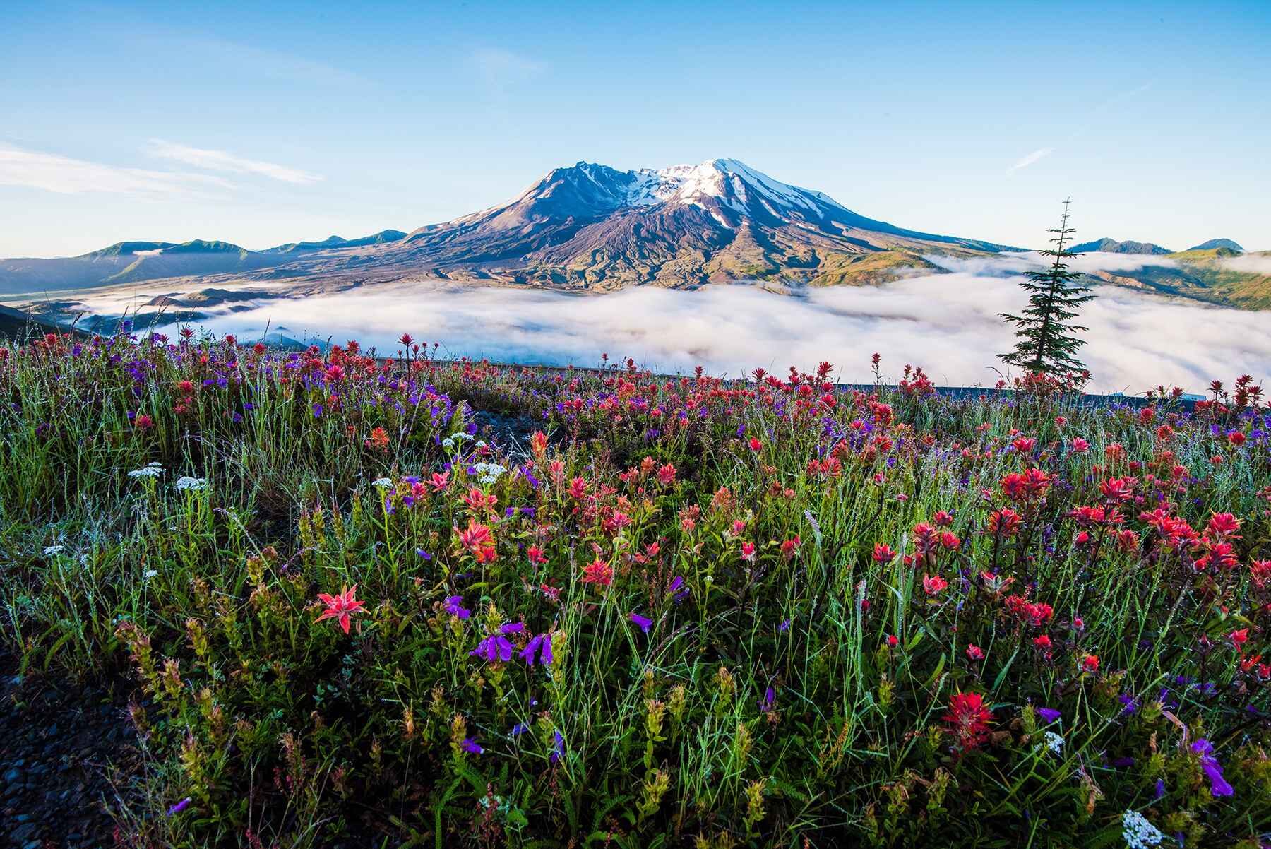 Mount St Helens